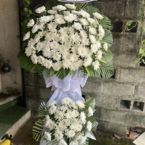 HĐT – 29